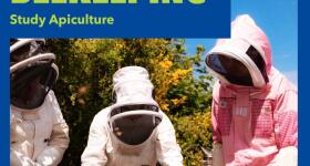 Beekeeping online poster2 2026