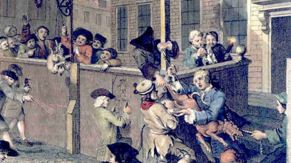 Hogarth animals