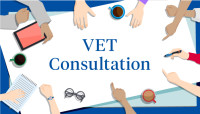 K013162 VET Consult 240806 newsitem 623x355 C