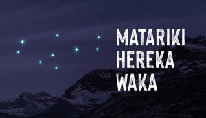 K015964 Matariki Herenga Wka S2 2026 02 Tuhono Kapehu